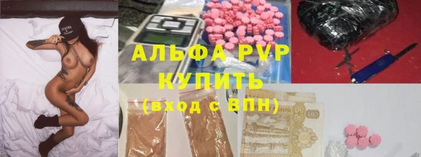 стаф Богородицк