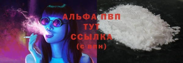 стаф Богородицк