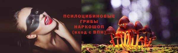 мяу мяу мука Беломорск