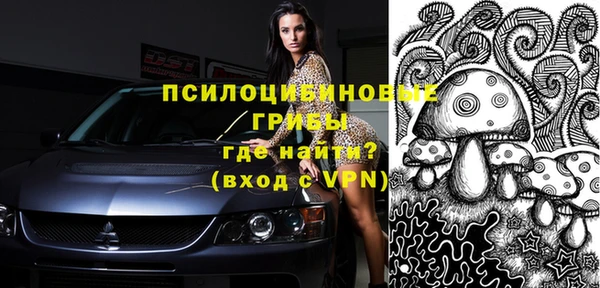 метамфетамин Богданович