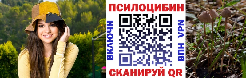 Псилоцибиновые грибы мицелий  Городище 